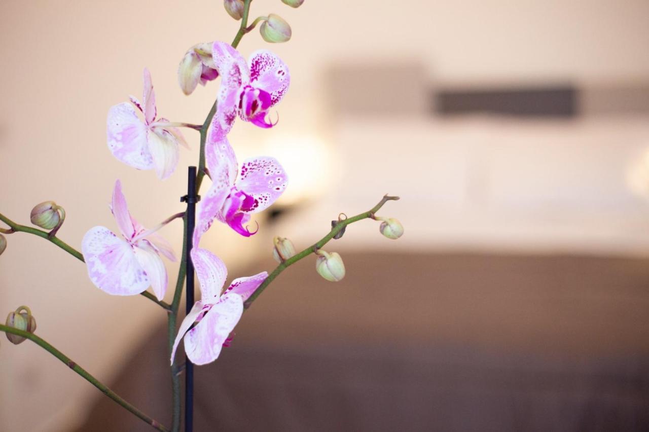Casapaola B&B Rooms Acireale Exteriör bild